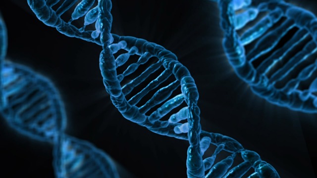 biologie - DNA